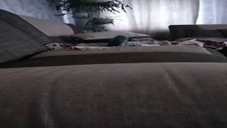 Naughty😈 cougar Annie, age 41, ready to get her dirty ass🍑 pounded mercilessly