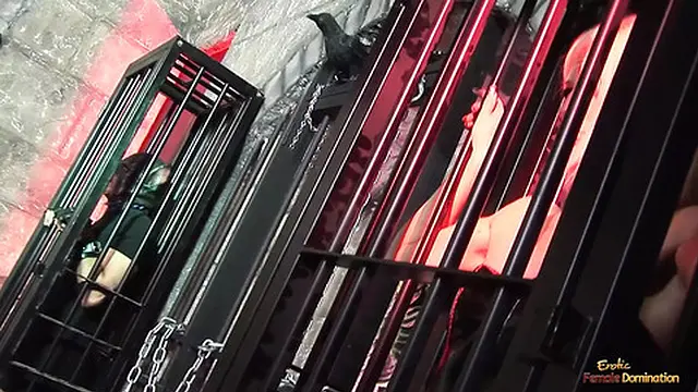 ′Two loud whores get their pussies rammed′