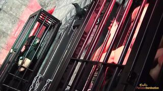 Multiple chicks adoring getting pounded by gigantic cocks in all holes