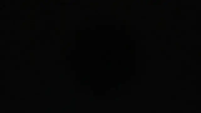 Kneel and take it &mdash;  sweet girl &mdash;  as I dominate you with collar and leash (audio roleplay) erotic dirty talk