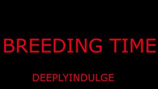 BREEDING TIME FOR YOUR PUSSY DADDY GETS YOU PREGGO (AUDIO ROLEPLAY) BREEDING BULL