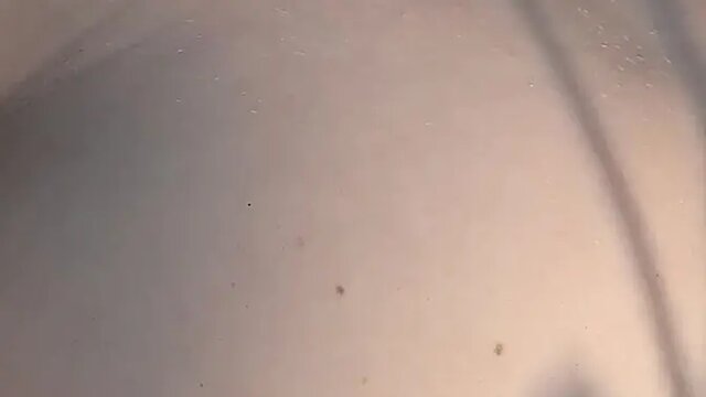 Hot mom Amelia gets outdoor anal fucked hard