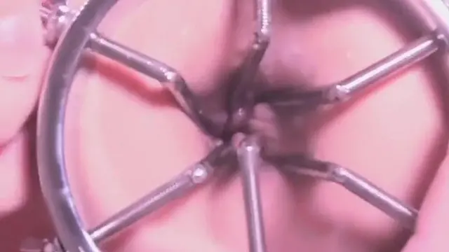 開口器でアナル拡張後、指入れで快感に包まれる膣内ローズ