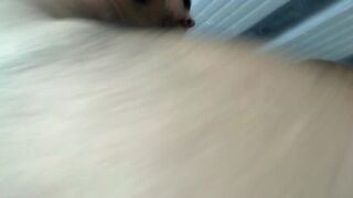 Anal fun sex and creampie