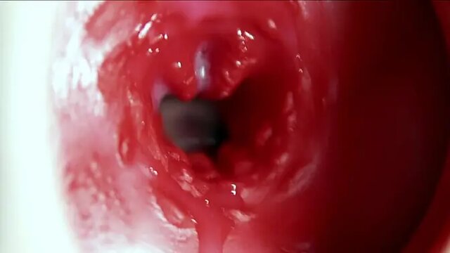 Amateur babe gets a huge cock in her ass