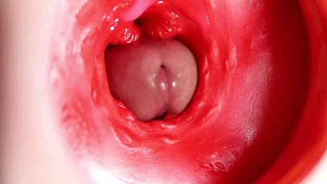 Amateur hottie's pussy grips hard on large cock; camera captures anal close-up