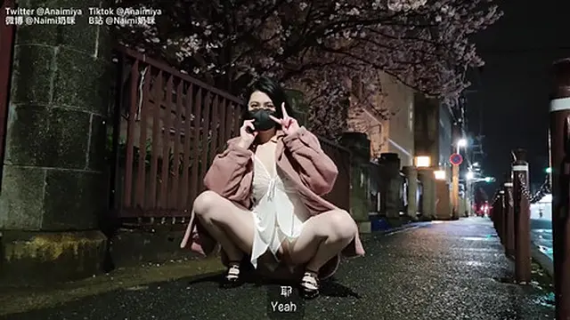 Forbidden Dates Beneath the Cherry Blossoms